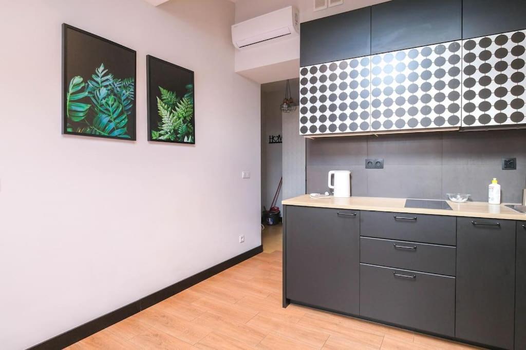 Strzelecka Old City Apartment Cracovie Extérieur photo